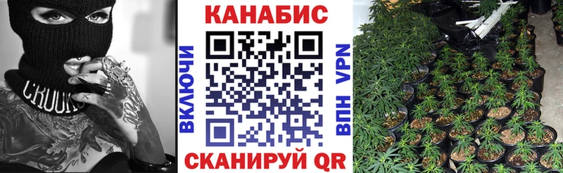 Виды наркотиков купить Десногорск COCAIN  МЕФ  APVP  Бошки Шишки 