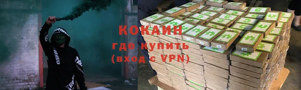 индика Алексеевка