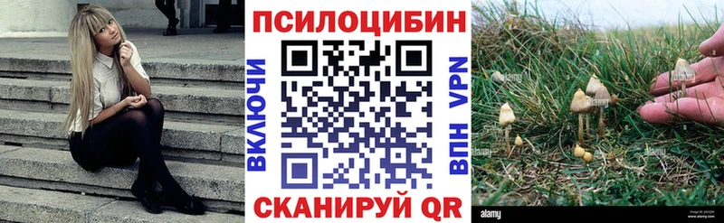 Галлюциногенные грибы прущие грибы  Десногорск 